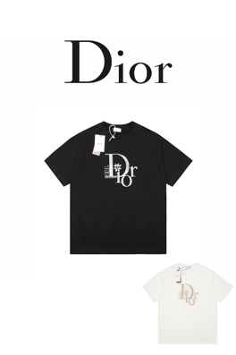 23新品!! ディオール半袖Tシャツコピー  DIOR刺繍ポイント  ★オーバーサイズ
