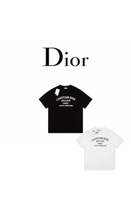 ディオール 半袖Tシャツ スーパーコピー DIOR クラシッ...