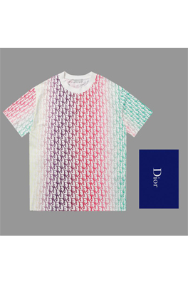 ディオール 半袖Tシャツ DIORグラデーションプリントTシ...