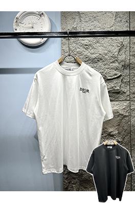 ディオール新しい色のロゴ半袖Tシャツ