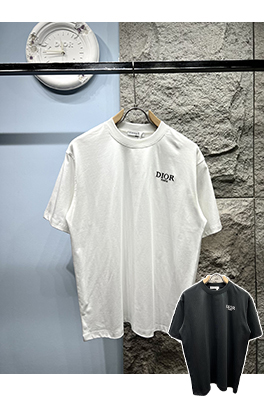 ディオール新しい色のロゴ半袖Tシャツ