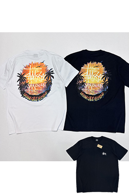 ステューシー サンセットココナッツビーチビューTシャツ