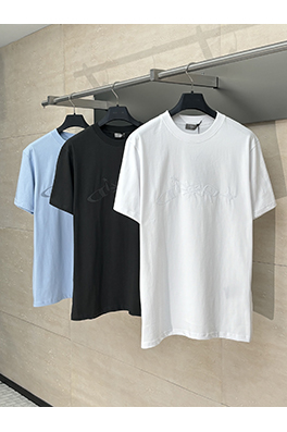 ディオールスーパーコピー 新しい刺繍ラウンドネック文字半袖Tシャツ