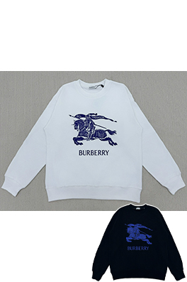 バーバリー クラシックレタリングクルーネックスパーカー