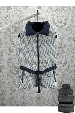 ディオール ALPS レディース限定プリントスタンドカラージッパーベスト