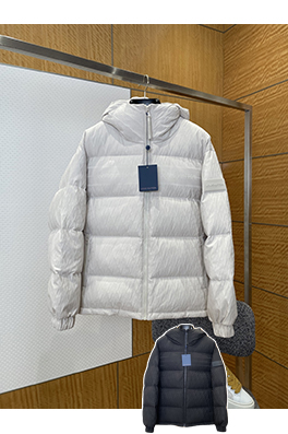 ルイヴィトン レザーラベルのフード付きダウンジャケット