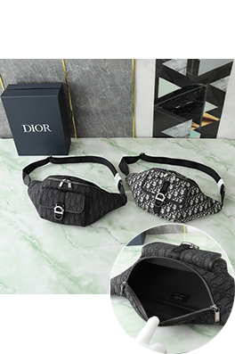 ディオール Oblique 8 新モデルクラシックプリントウエストバッグ