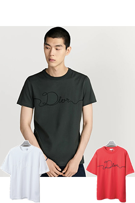 ディオールスーパーコピー 早春コラボシリーズ 刺繍ロゴ半袖Tシャツ
