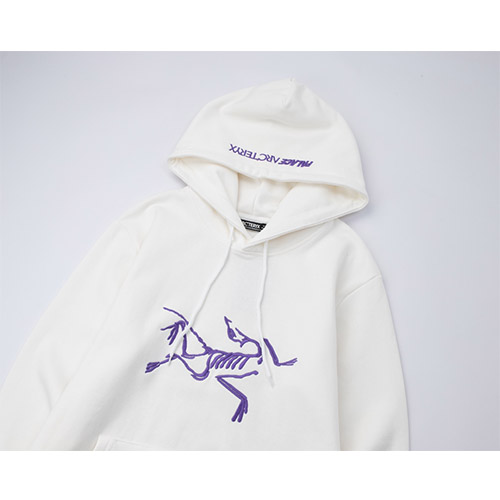パレス × ARCTERYX スーパーコピー  フード Tシャツ パーカー