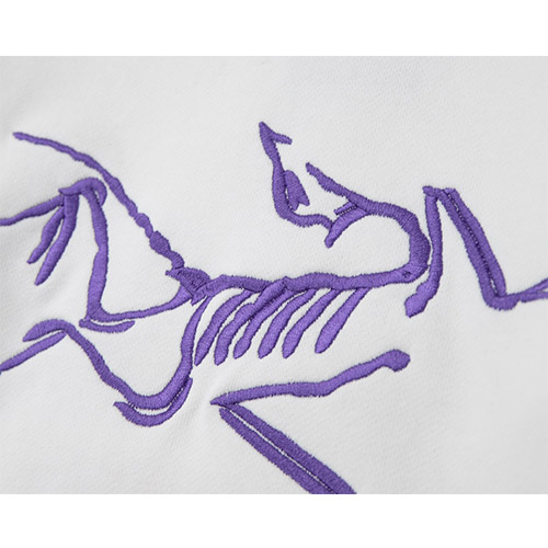 パレス × ARCTERYX スーパーコピー  フード Tシャツ パーカー