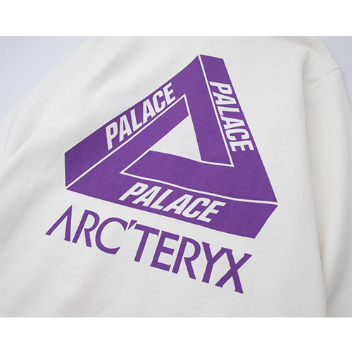 パレス × ARCTERYX スーパーコピー  フード Tシャツ パーカー