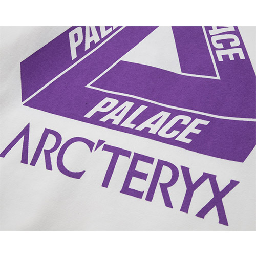 パレス × ARCTERYX スーパーコピー  フード Tシャツ パーカー