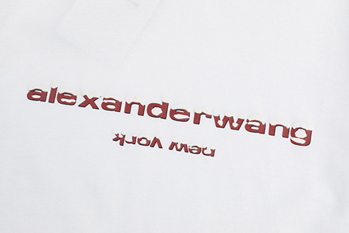 春新商品入荷!!  アレキサンダーワンスーパーコピークラシックグラデーションロゴ 半袖Tシャツ