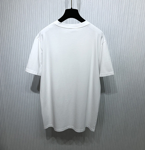 ディオール  半袖Tシャツ DIOR エレメントがファッションに融合したTシャツ