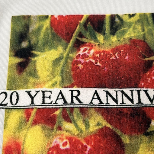 シュプリーム 半袖Tシャツ スーパーコピー  SUPREMEいちごTシャツ 20周年記念限定版