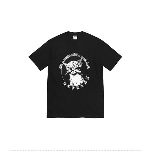 シュプリームコピー Smoke Teeかわいい子猫半袖シャツ