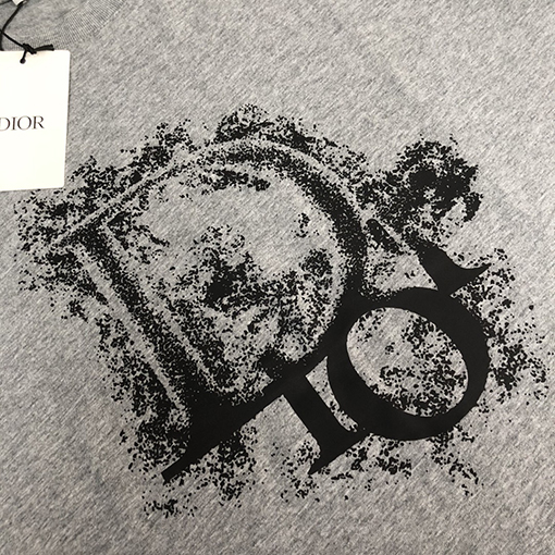 ディオール   プリント ロゴ半袖Tシャツ