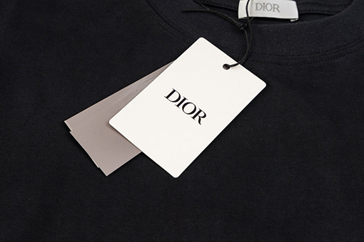 ディオール高級感ロゴプリント クルーネック 半袖Tシャツ
