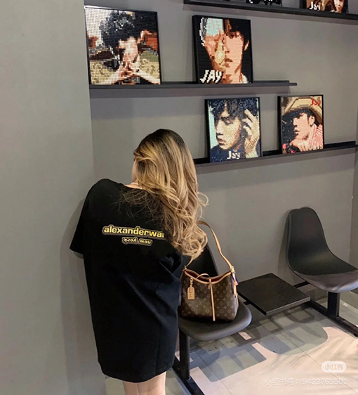 アレキサンダーワンカラーブロック ロゴプリント 半袖Tシャツ