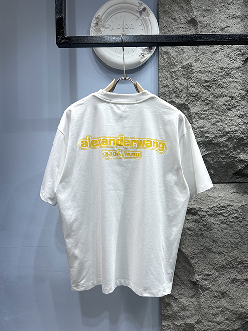 アレキサンダーワンカラーブロック ロゴプリント 半袖Tシャツ