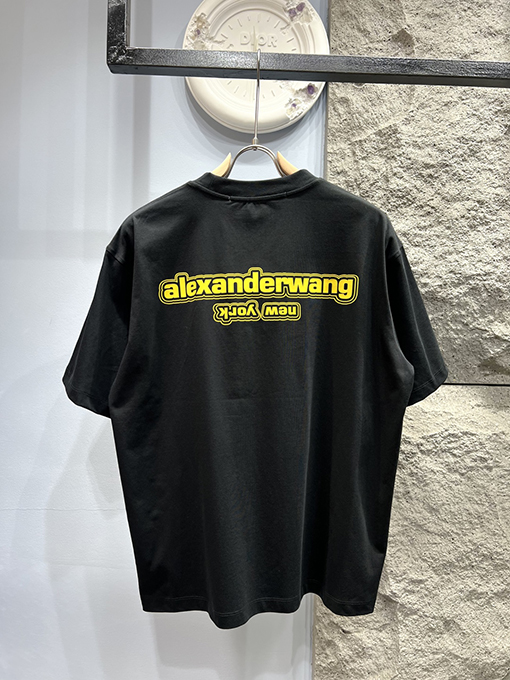 アレキサンダーワンカラーブロック ロゴプリント 半袖Tシャツ