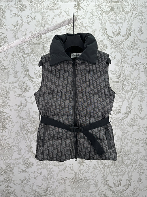 ディオール ALPS レディース限定プリントスタンドカラージッパーベスト