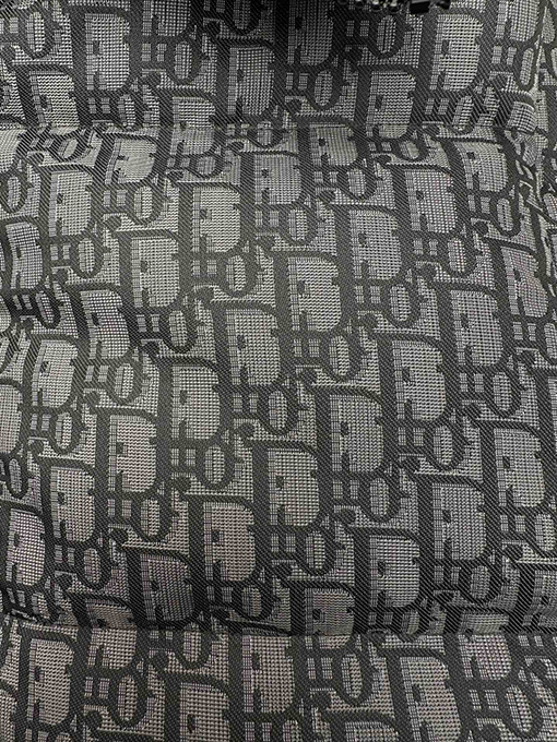 ディオール ALPS レディース限定プリントスタンドカラージッパーベスト