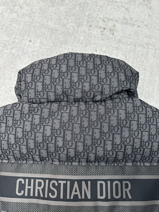 ディオール ALPS レディース限定プリントスタンドカラージッパーベスト