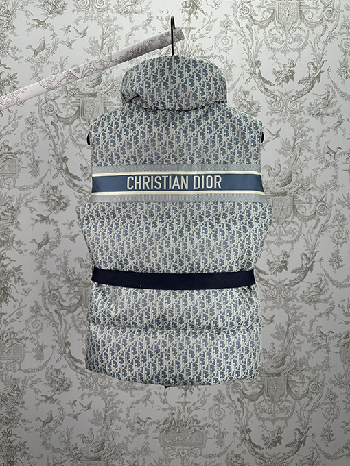 ディオール ALPS レディース限定プリントスタンドカラージッパーベスト