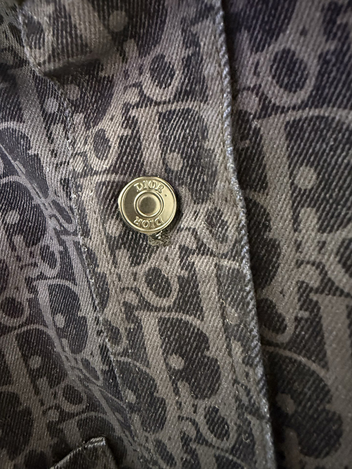 DIOR X KAWS 限定蛇年刺繍りフロックバーンアウトモノグラムプリントシャツ