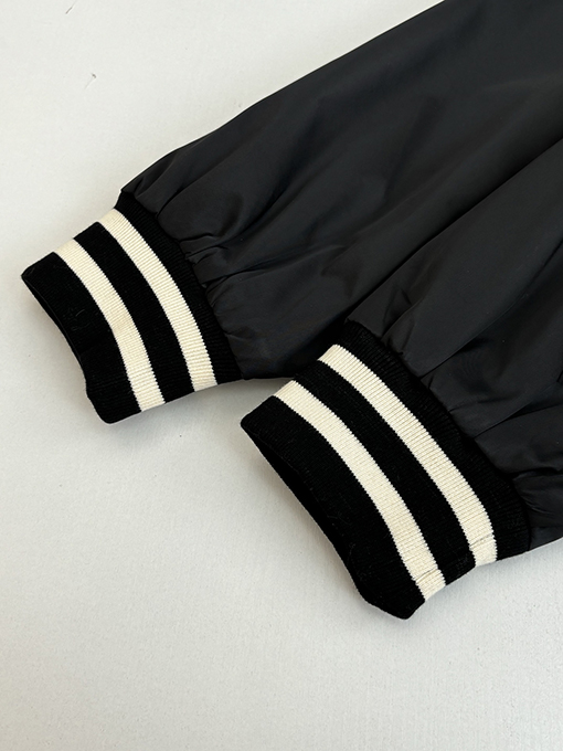 セリーヌ ストライプのカラーブロック凱旋門刺繍りジャケット