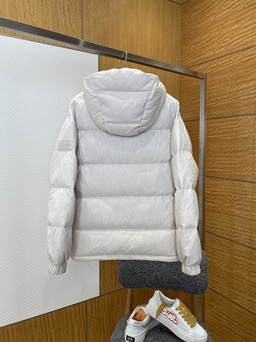 ルイヴィトン レザーラベルのフード付きダウンジャケット