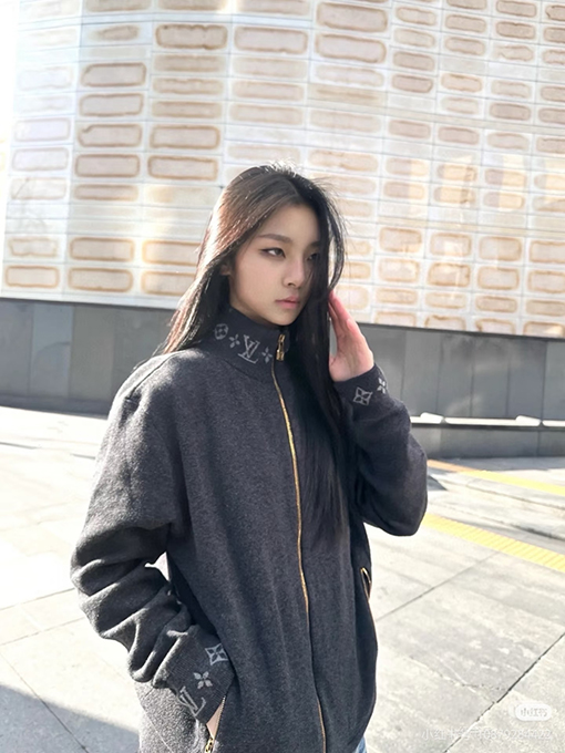 ルイヴィトン ウールニットプリントスタンドカラーロングスリーブシャツ