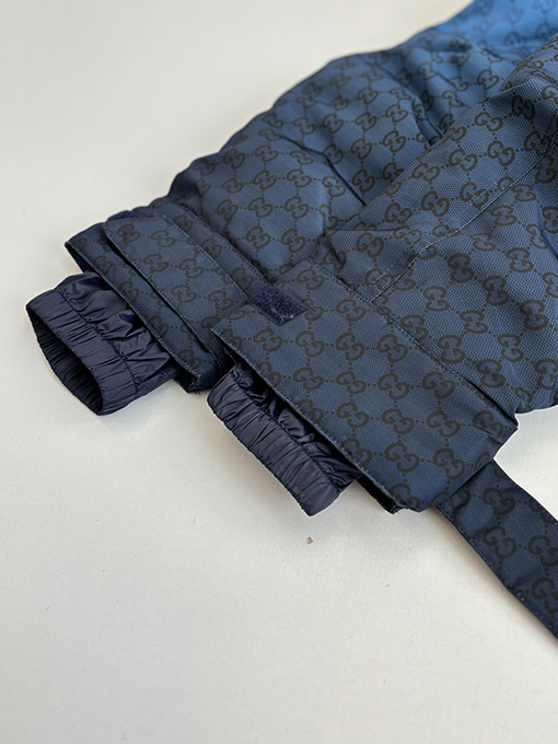 グッチ Altitude スキースタイルのフード付きグラデーションカラーブロックプリントコットンジャケット