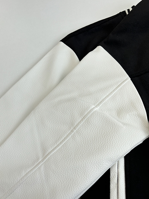 ルイヴィトン ペガサスのフロック刺繍入りペガサスベースボールジャケット