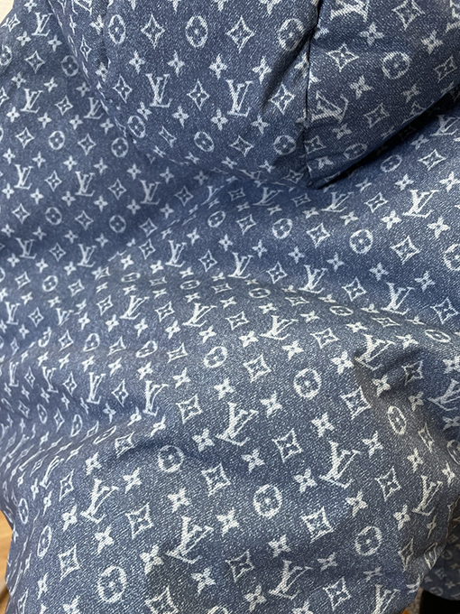 ルイヴィトン 全面モノグラムスキーダウンジャケット