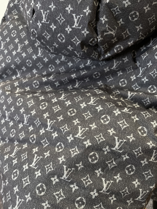 ルイヴィトン 全面モノグラムスキーダウンジャケット