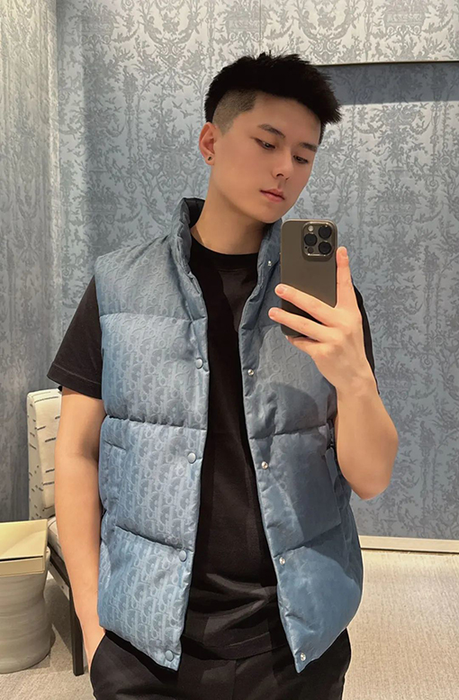 ディオールコピー ダークパターンジャカードスタンドカラーダウンベスト