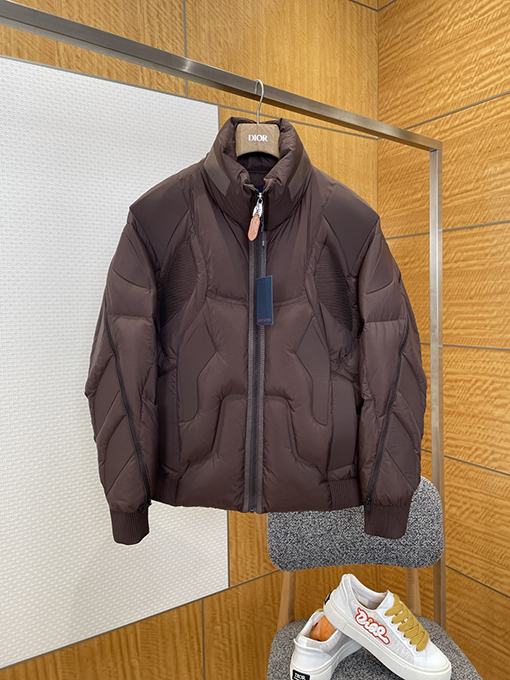 ルイヴィトン LOUIS VUITTON レザーラベルスタンドカラーダウンジャケット