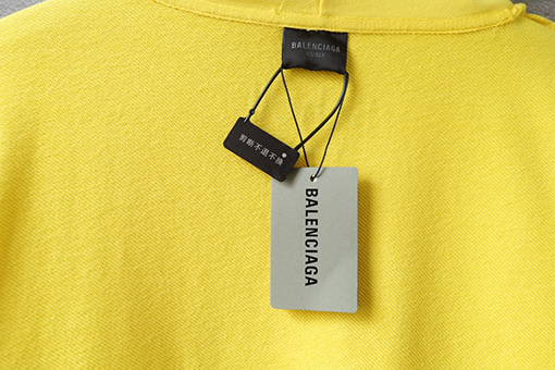 バレンシアガコピー Balenciaga スキーをテーマにしたプリントパーカー