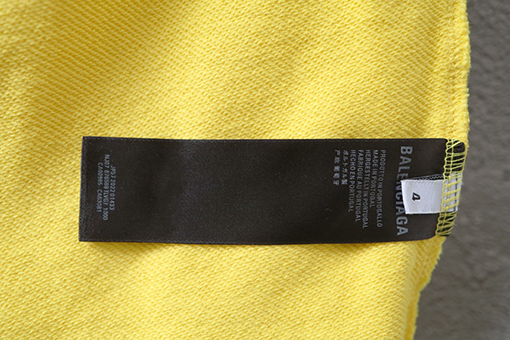 バレンシアガコピー Balenciaga スキーをテーマにしたプリントパーカー