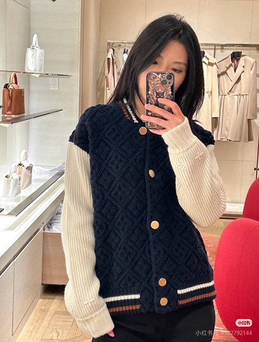 ルイヴィトン SKI スキーをテーマにしたカラーブロックストライプのベースボールジャケット