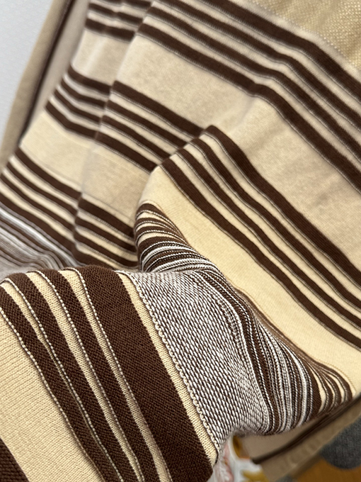 ボッテガヴェネタ ストライプの襟付き長袖ポロシャツ