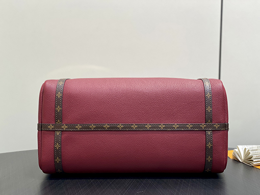 ルイヴィトン LV SPEEDY EXPRESS ミディアムサイズの枕カバーハンドバッグ M27689