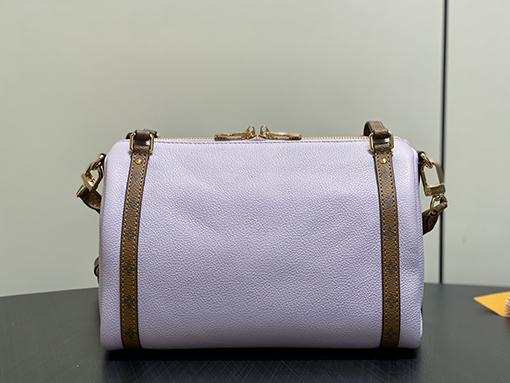 ルイヴィトンスーパーコピー LV SPEEDY EXPRESS 小さな枕ハンドバッグ M27275