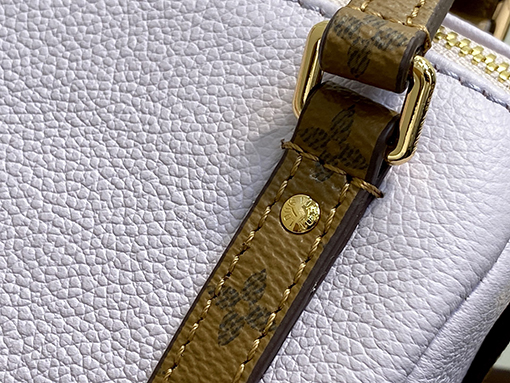 ルイヴィトンスーパーコピー LV SPEEDY EXPRESS 小さな枕ハンドバッグ M27275