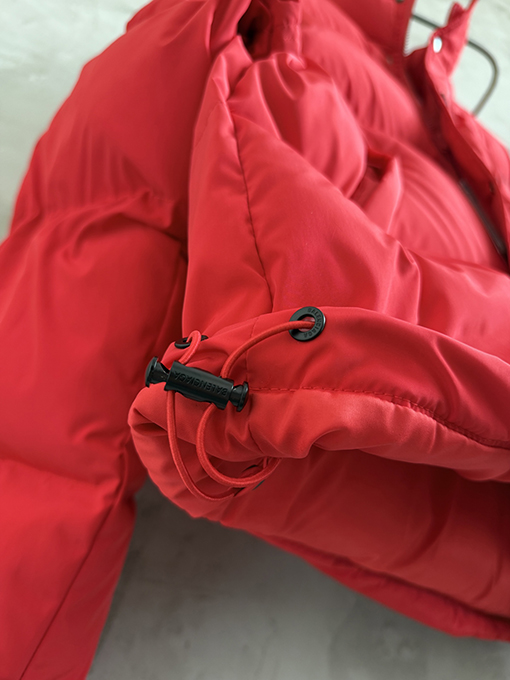 バレンシアガ Balenciaga 馬年限定刺繍ダウンジャケット