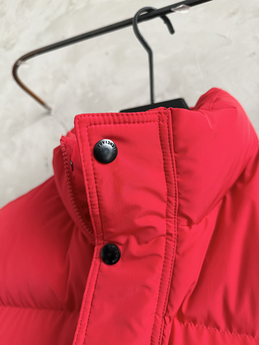 バレンシアガ Balenciaga 馬年限定刺繍ダウンジャケット