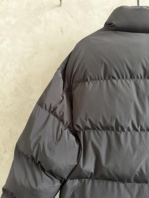 バレンシアガ Balenciaga 馬年限定刺繍ダウンジャケット