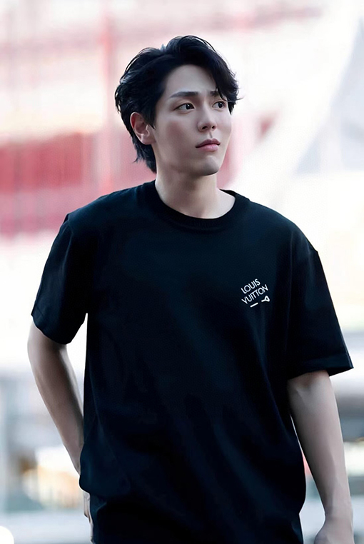 ルイヴィトンコピー ニットピン半袖Tシャツ